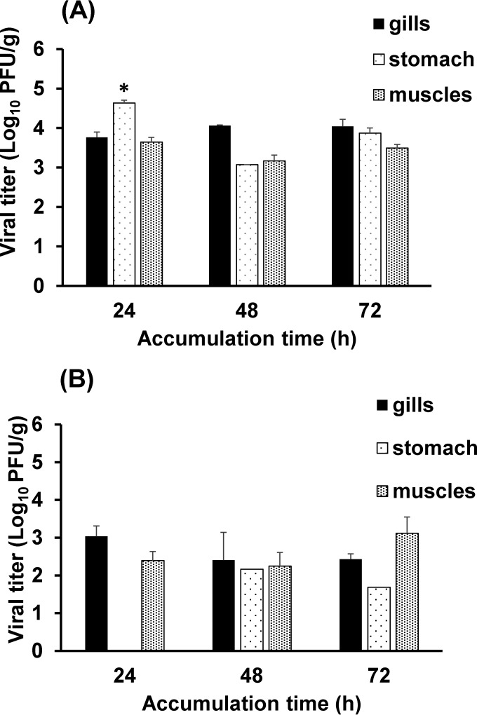 FIG 2