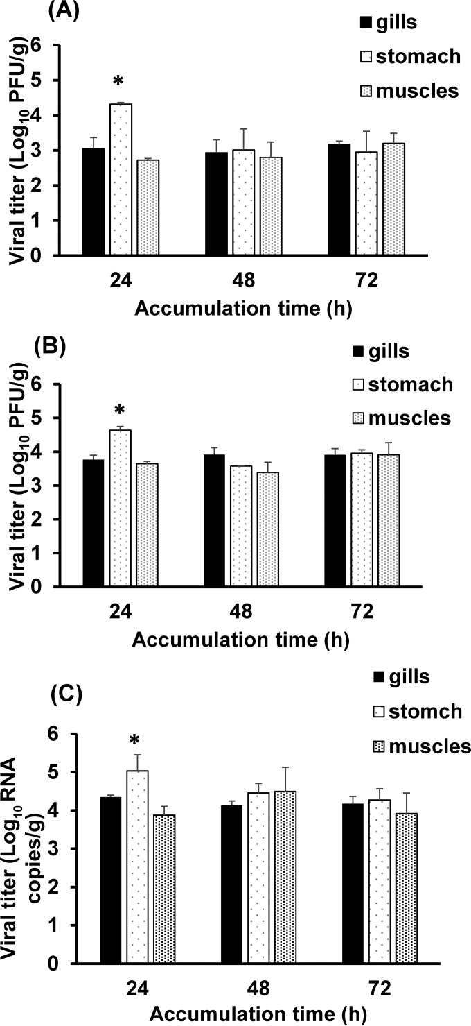 FIG 1