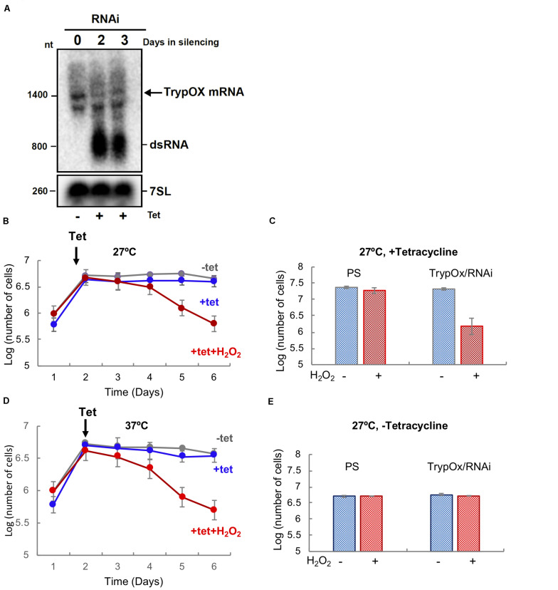 FIGURE 2