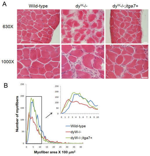 Fig. 9.