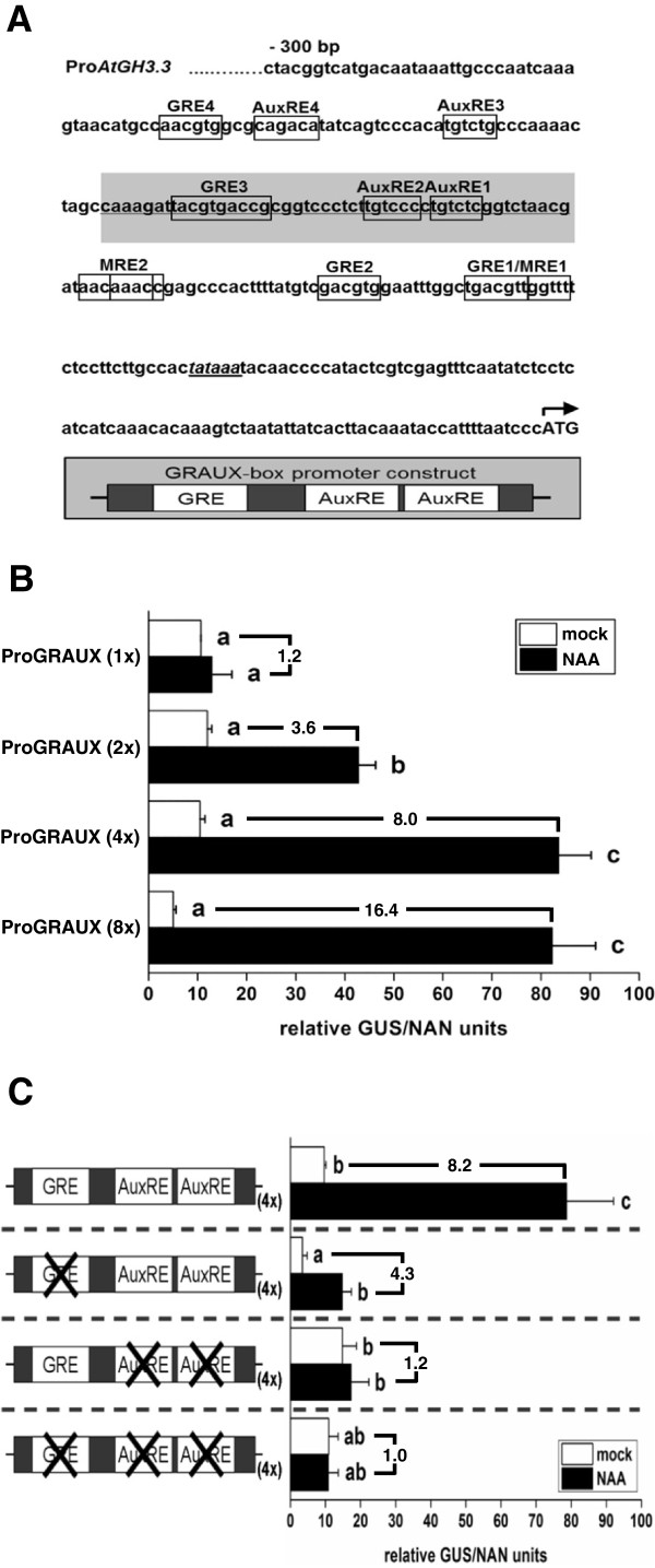 Figure 5