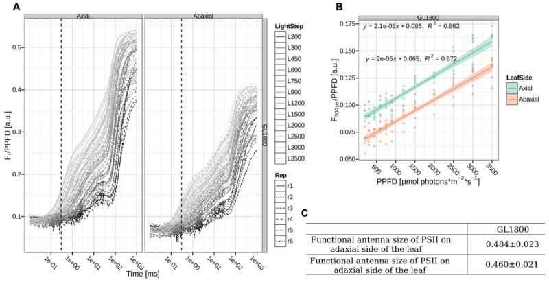 FIGURE 6