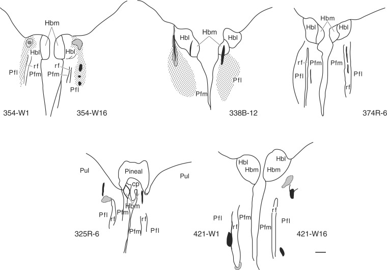 Fig. 3.