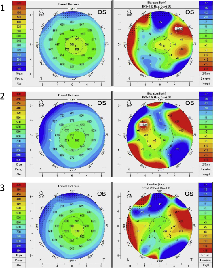 Fig. 3