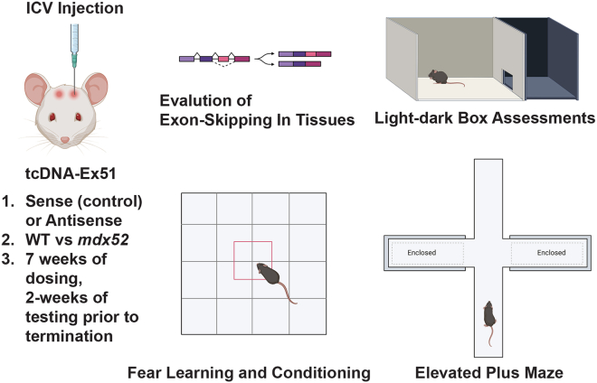 Figure 1