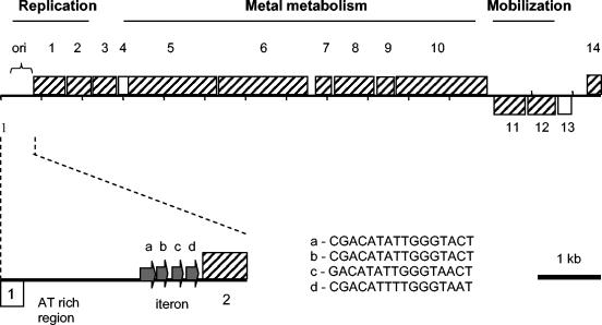 FIG. 1.