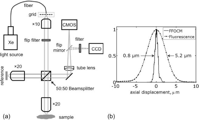 Fig. 1