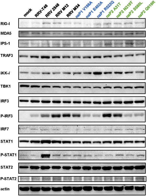 FIG 10