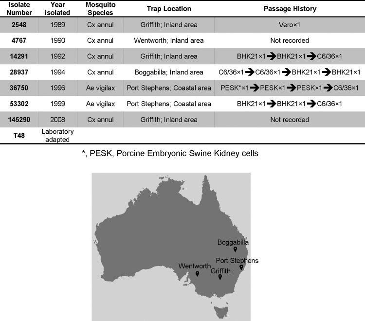 FIG 1