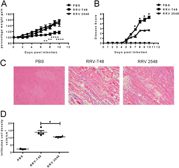 FIG 6