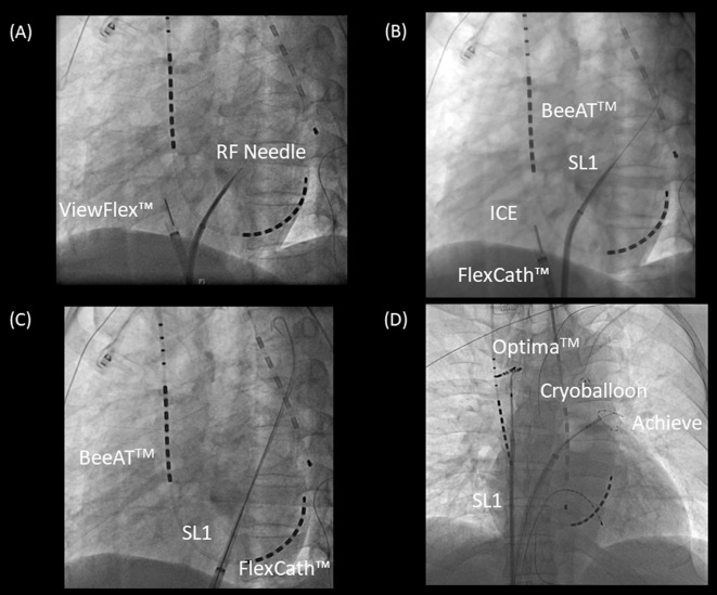 Figure 2.