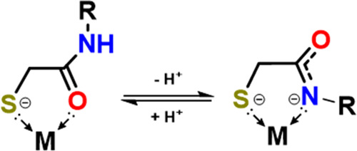 Scheme 2