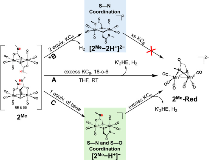 Scheme 3