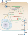 FIG 3