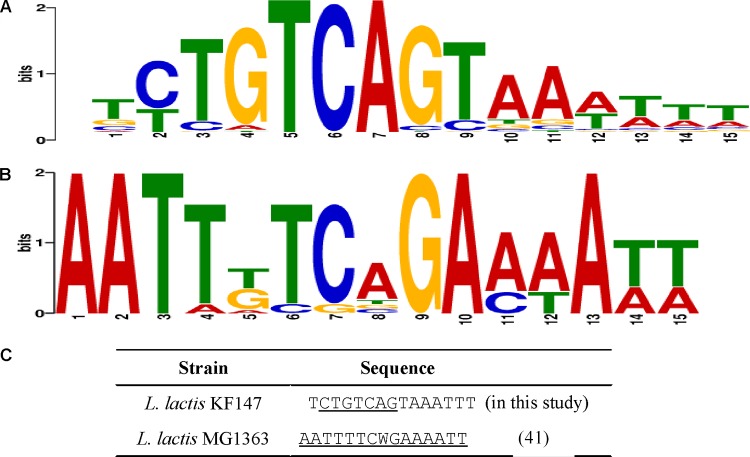 FIG 6