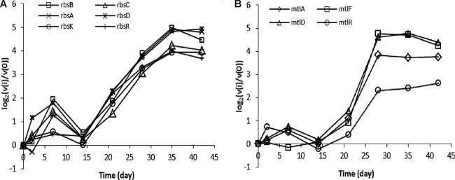 FIG 7