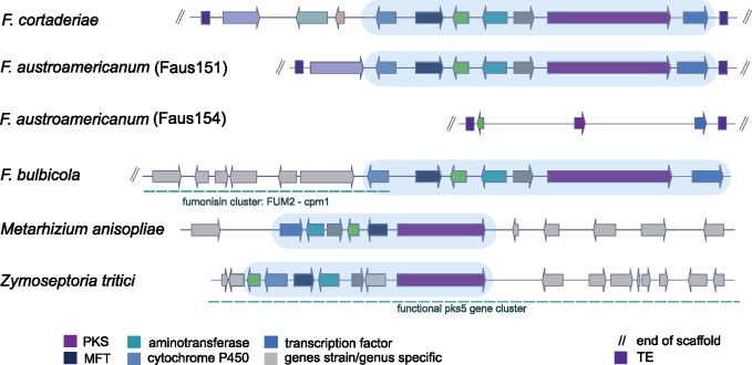 Fig. 6.