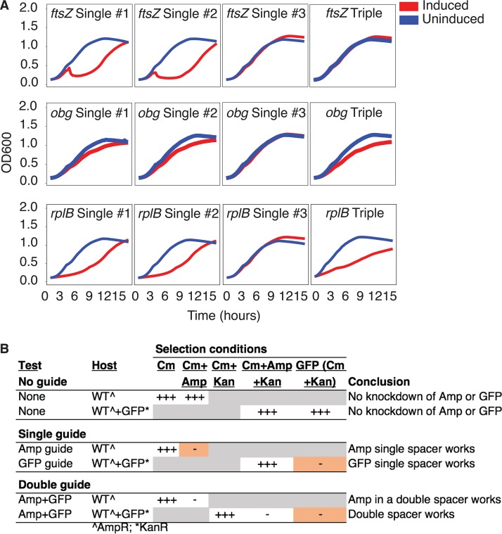 FIG 5