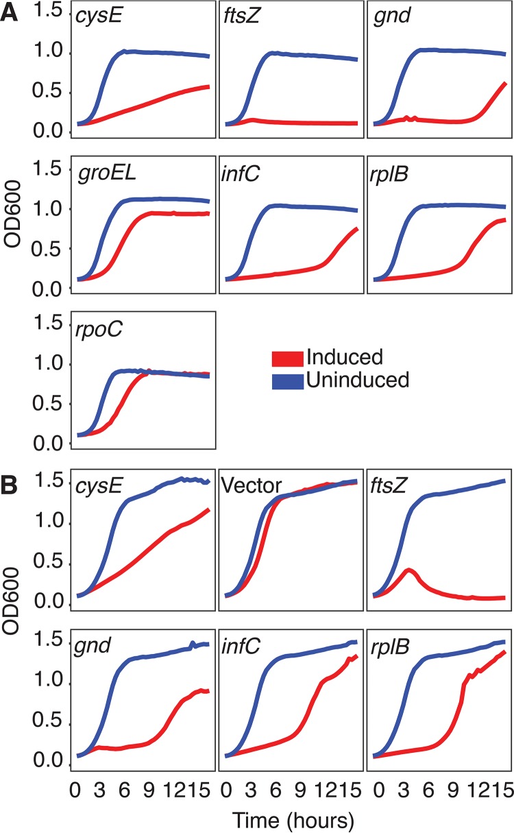 FIG 3