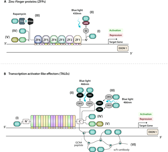 Figure 2.