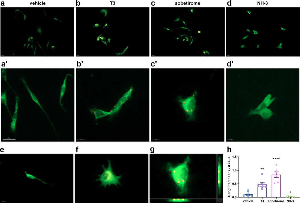 Figure 4: