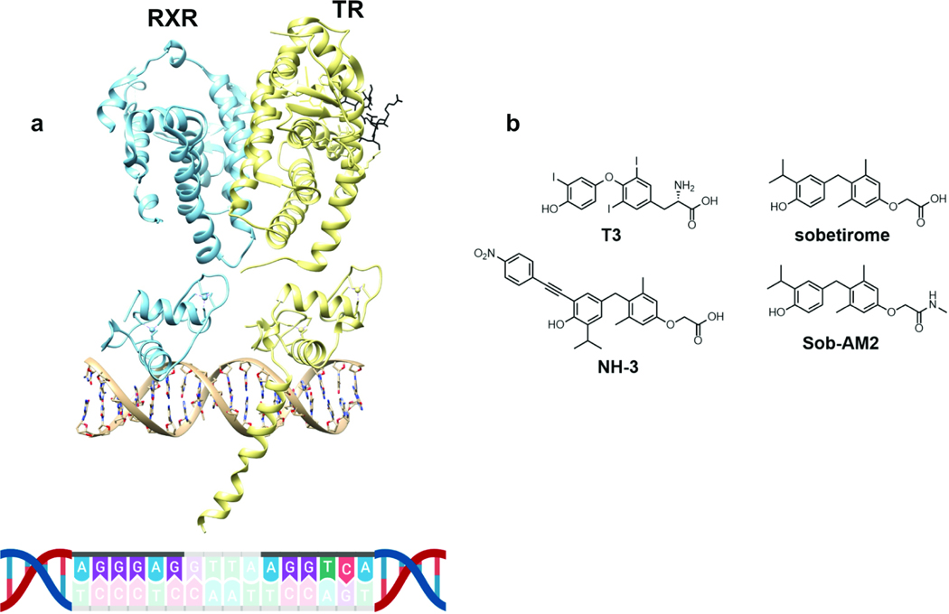 Figure 1: