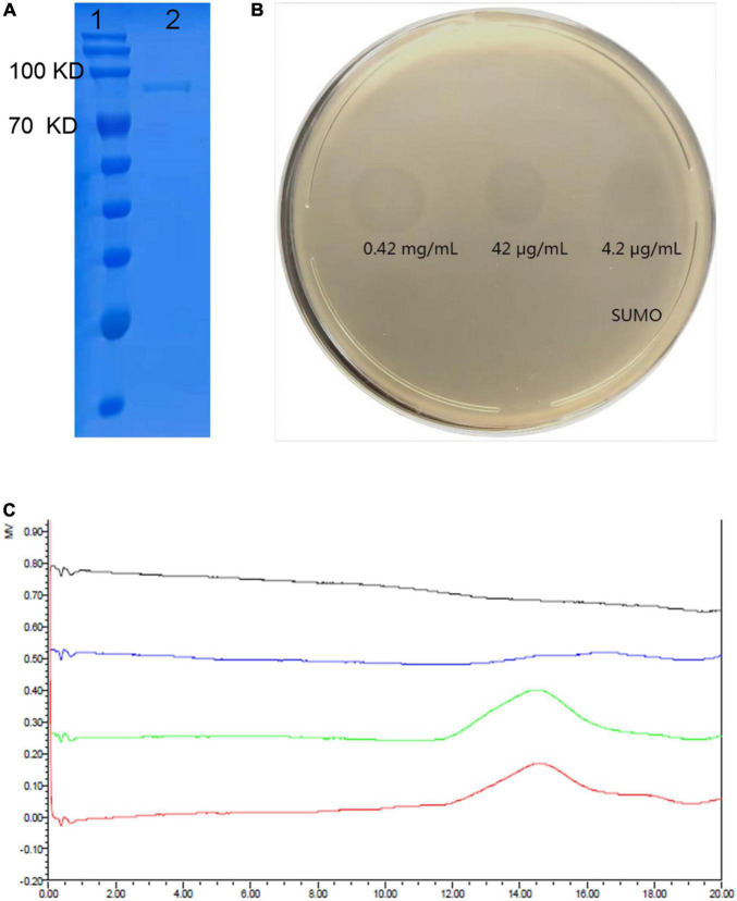 FIGURE 3