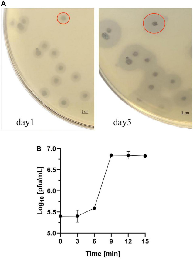 FIGURE 1