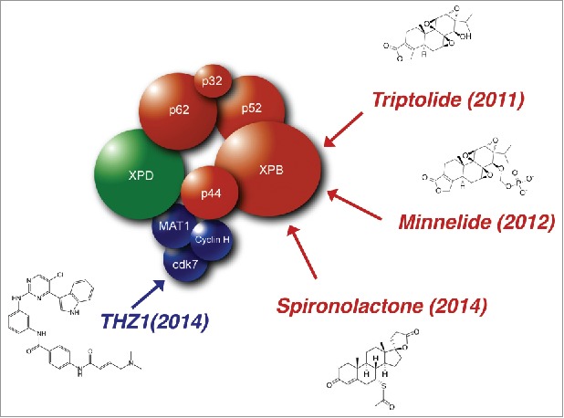 Figure 1.