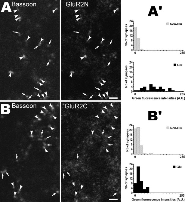 Figure 3.