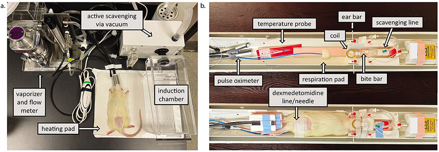 Figure 1: