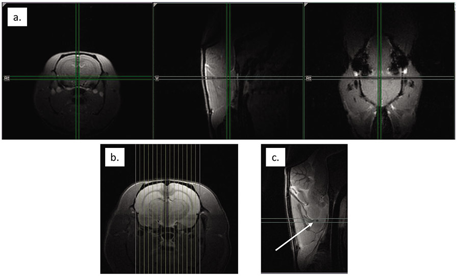 Figure 5: