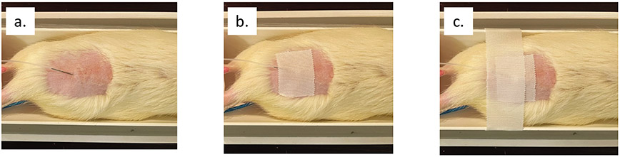 Figure 4: