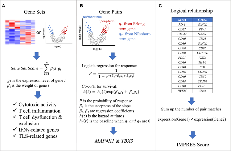 Figure 1