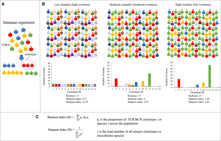 Figure 2