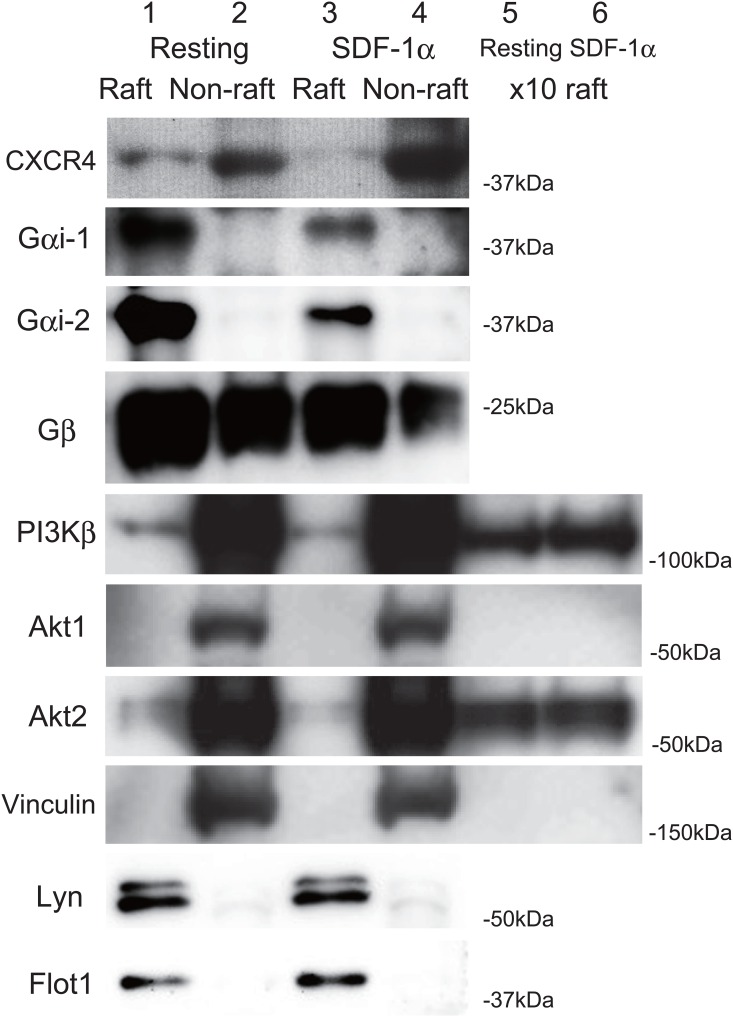 Fig 5