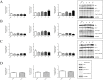 Supplementary Fig. 1