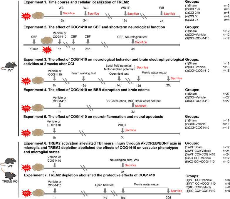 Fig.1