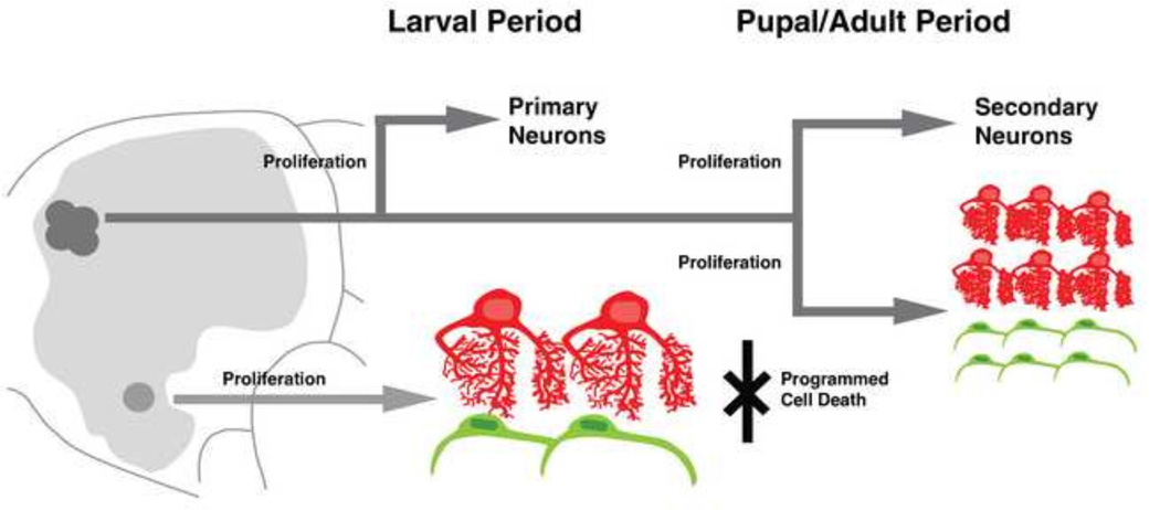 Figure 11