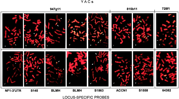 Figure  2