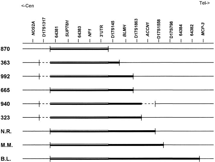 Figure  3