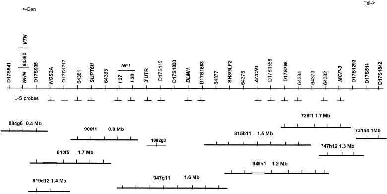 Figure  1