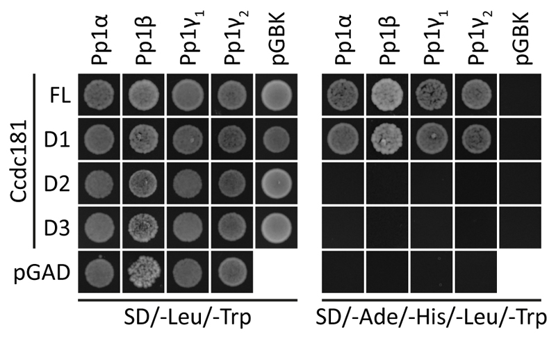 Figure 10