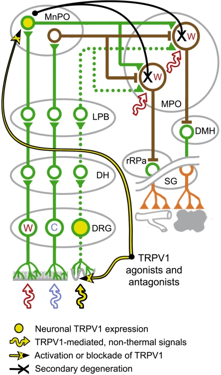 Fig. 10.