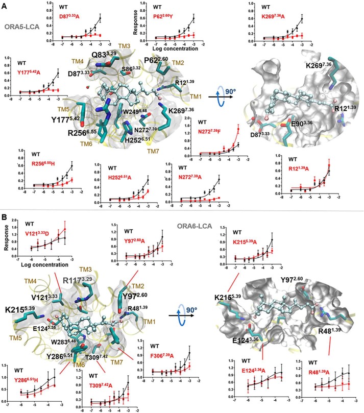 Figure 4.