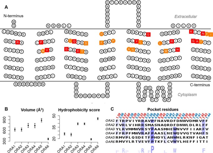 Figure 6.