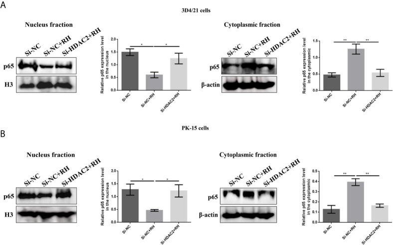 Figure 7