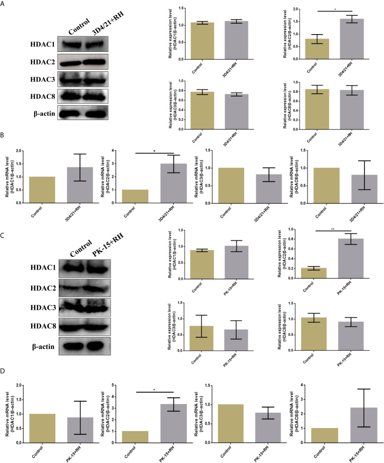 Figure 5