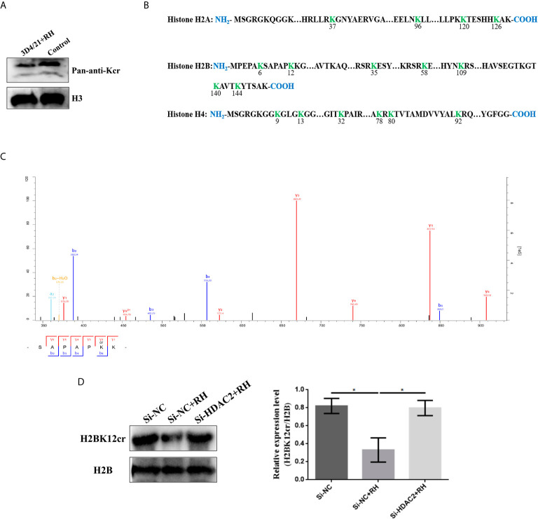 Figure 3