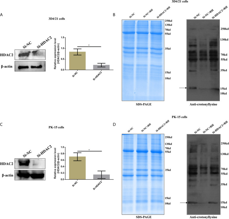 Figure 6